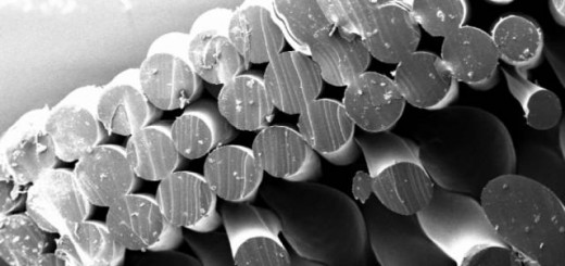 TPU-scanfold-london-1