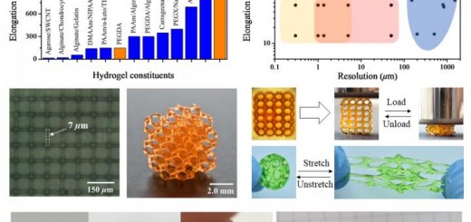 hydrogels for DLP 3D printing