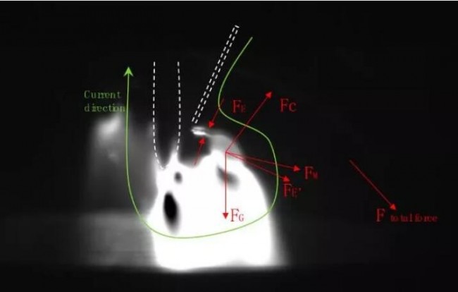 WAAM_SD Univerisity_2