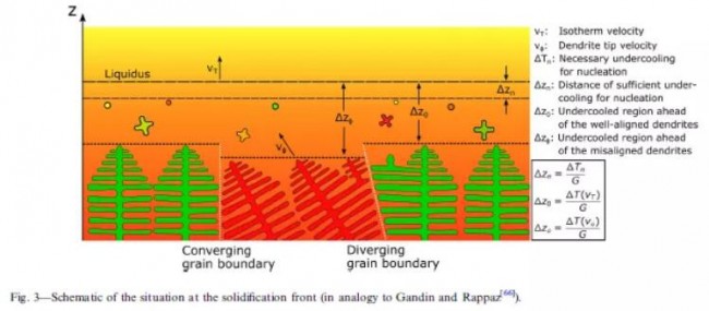 Springer_pera_Study_3