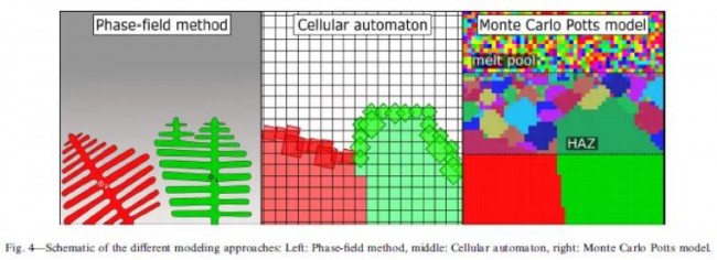 Springer_pera_Study_4