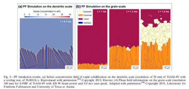 Springer_pera_Study_5