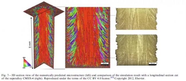 Springer_pera_Study_7