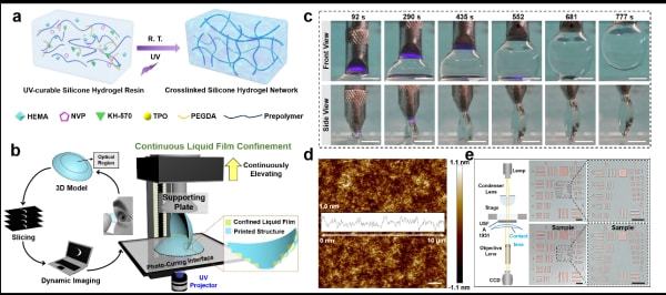study_Academy of science