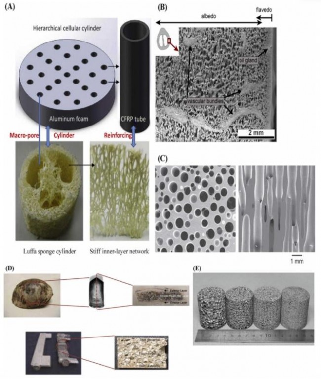 （四）泡沫结构l3D打印多材料、多尺度和多功能仿生多孔结构
