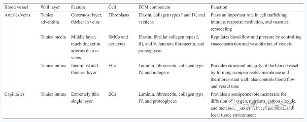 Engineer_Blood vessel_table1