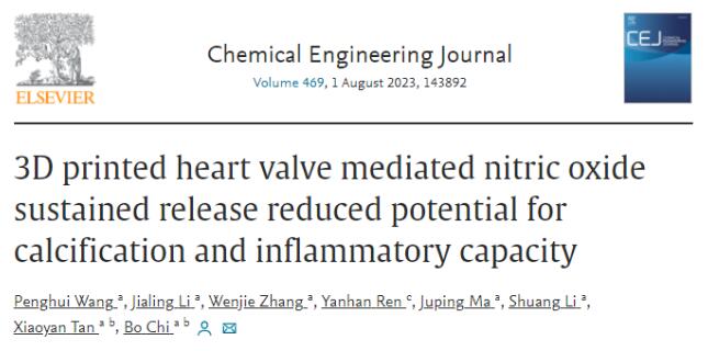 article_heart valve