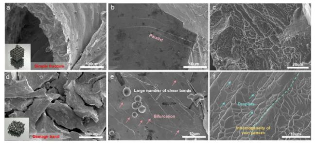 article_bio construction_7