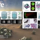 paper_nature_GRACE_5