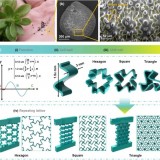 paper_Machijian_1