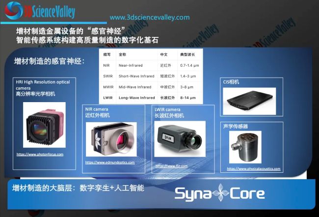 Syna感官神经