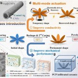 paper-fiber1