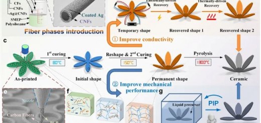 paper-fiber1