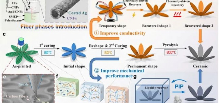 paper-fiber1